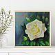 Butter Rose Oil Painting