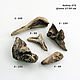 Дрифтвуд driftwood коряжки (листай фото). Природные материалы. driftwoodhunter. Интернет-магазин Ярмарка Мастеров.  Фото №2