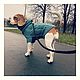 Заказать Закажи свой - уникальный свитер!. Crazy Horses. Ярмарка Мастеров. . Одежда для питомцев Фото №3