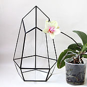 Цветы и флористика handmade. Livemaster - original item The Floriana for plants. Geometric vase for Floriana. Handmade.