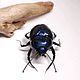 Черный навозный жук. Dung Beetle (фигурка). Статуэтки. Букашки. Ярмарка Мастеров.  Фото №4