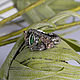 Golden Barahir ring with emerald 'Aragorn Ring'. Rings. Unusual Gemstone Jewelry. Online shopping on My Livemaster.  Фото №2