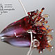 Заказать Коллекция ОБИТАТЕЛИ ГЛУБИН. Актиния. Викторова Вера Lampwork. Ярмарка Мастеров. . Подвеска Фото №3
