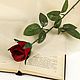 Цветы искусственные "Роза" 63 см, d-5 см, 1шт, Цветы искусственные, Долгопрудный,  Фото №1