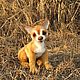 felt toy: Chihuahua Puppy. Felted Toy. Felt toys (rushanatim). Online shopping on My Livemaster.  Фото №2
