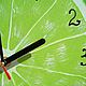Kitchen Clock Lime Citrus 4 diameter. Watch. Clocks for Home (Julia). My Livemaster. Фото №5