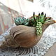 Order Shell with succulents and cacti. KG_flowers. Livemaster. . Composition Фото №3