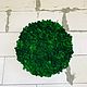Round phytocartin made of stabilized moss 30 cm. Fitokartins. Антонина Литовкина - Озеленение (Планета Флористики). Online shopping on My Livemaster.  Фото №2