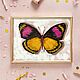 Painting with a butterfly 'Rebirth'. Oil on canvas - 30h24 cm. Pictures. Lifia Art. Online shopping on My Livemaster.  Фото №2