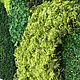 Order Stabilized fern moss (1 kg) from the manufacturer. Антонина Литовкина - Озеленение (Планета Флористики). Livemaster. . Natural materials Фото №3