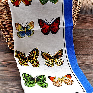 Декор стен бабочками: время наводить красоту!