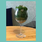 Посуда handmade. Livemaster - original item Stabilized moss in a glass. Handmade.