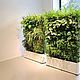 Floor Planter with pergola. Pots1. LittleHouse. Online shopping on My Livemaster.  Фото №2