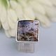 Ring with moss agate. Silver, Rings, Moscow,  Фото №1