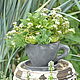 Заказать Taza de maceta de hormigón con bandeja para flores y decoración. Decor concrete Azov Garden. Ярмарка Мастеров. . Pots Фото №3