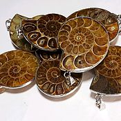 Украшения handmade. Livemaster - original item Ammonites ( ancient mollusks) pendants (Toliara,southwest Madagascar).. Handmade.