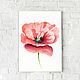 Watercolor Scarlet poppy, Pictures, Rostov-on-Don,  Фото №1