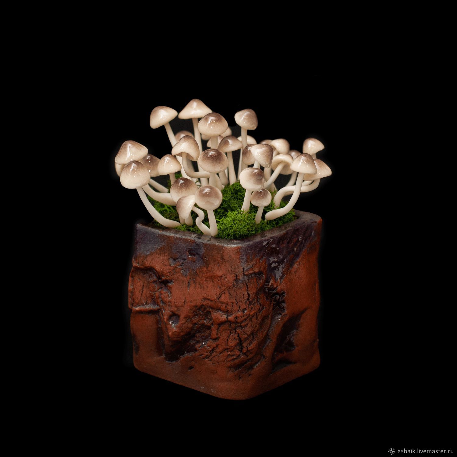 Decorative toadstools glowing in the dark, Miniature plants and flowers, Irkutsk,  Фото №1