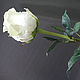 Интерьерная роза Вендела из фоамирана. Цветы. Tanyafloralbeauty. Ярмарка Мастеров.  Фото №4