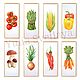 Watercolor paintings with vegetables, 8 pieces. Pictures. Ulia Svetlaya (UliaSvetlaya). Online shopping on My Livemaster.  Фото №2