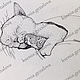Спящие котик и попугай, Иллюстрации и рисунки, Москва,  Фото №1