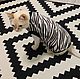 Clothing for cats 'Zebra', Pet clothes, Biisk,  Фото №1