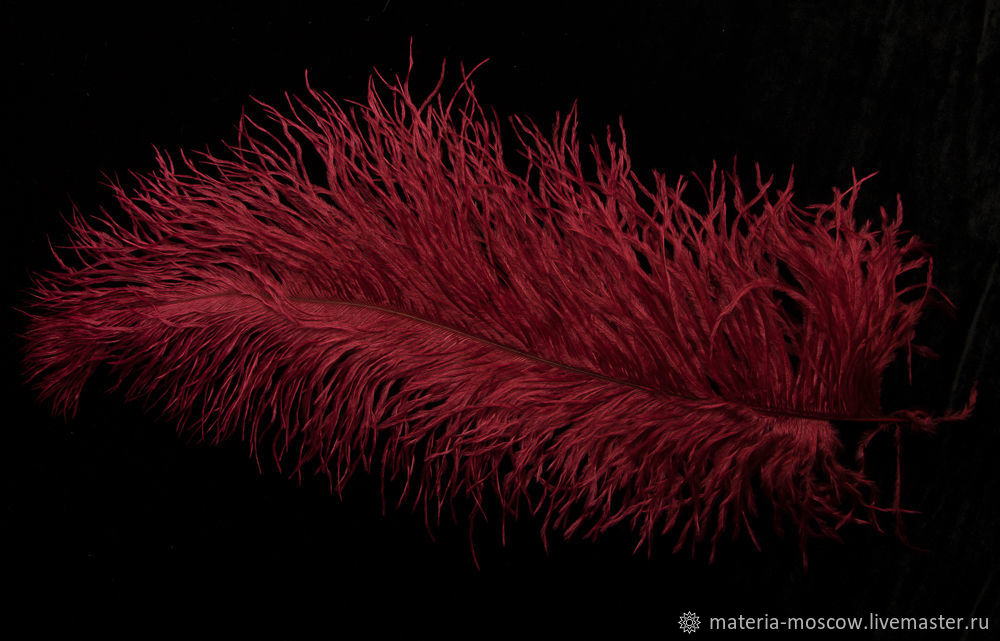 Перья темно красные