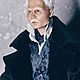  Гриндевальд. Портретная кукла. Ирина. Ярмарка Мастеров.  Фото №5
