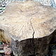 Спил дерева для журнального столика. Столы. Lesnoi intereR. Интернет-магазин Ярмарка Мастеров.  Фото №2