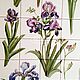 Tiles and tiles: Kitchen apron Irises No. №1. Tile. Flera Daminova Rospis farfora. (artflera). Ярмарка Мастеров.  Фото №4