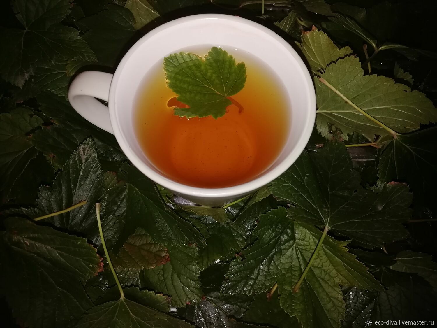 Фито-чай "Черносмородиновый", 50 гр купить в интернет-магазине Ярмарка ...