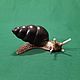 The Snail is Black. II collection. Figurines. NGS Masters. My Livemaster. Фото №5