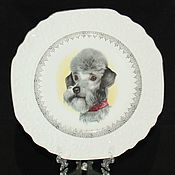 Винтаж: Шкатулка собака французский бульдог Англия 8