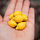 Lemon. Miniature figurines. Romanycheva Natalia. Online shopping on My Livemaster.  Фото №2
