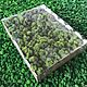Stabilized moss yagel Packed (0,5 kg) from the manufacturer. Natural materials. Антонина Литовкина - Озеленение (Планета Флористики). Online shopping on My Livemaster.  Фото №2