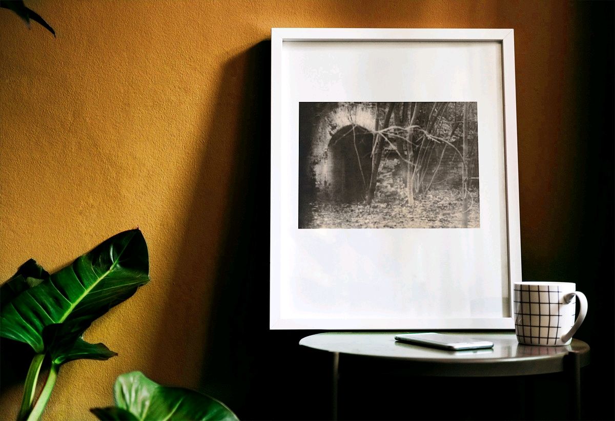 Аналоговая, пленочная, фотография "Secret Garden" купить в интернет ...