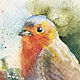 Order Watercolor painting. Birds. Robin. ArtShipilina. Livemaster. . Pictures Фото №3