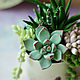 Interior arrangement with succulents. Composition. KG_flowers. My Livemaster. Фото №4