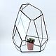 Order The Floriana for plants. Geometric vase for Floriana. The Floriana. Glass Flowers. Livemaster. . Pots1 Фото №3